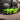 Gloss Metallic Vinyl Wrap - RB Series (RB02-12) Gloss Metallic Teckwrap 