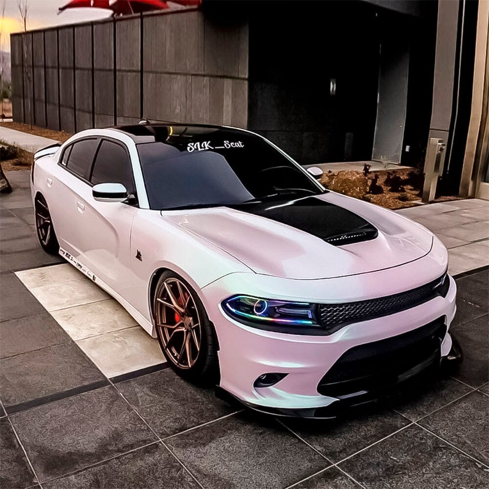 Gloss White Chameleons - CK & DCH Series White Chameleons Teckwrap 